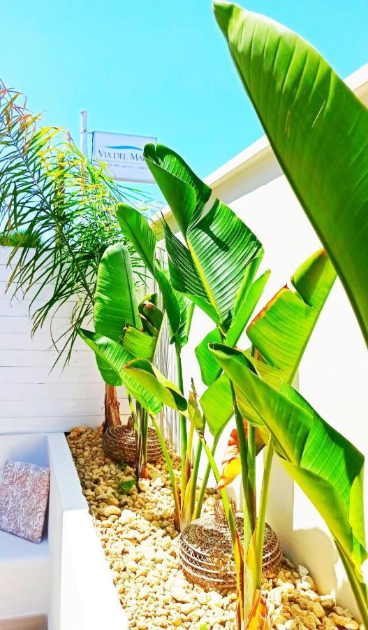 B&B Suites Via Del Mare เปรสซิกเช ภายนอก รูปภาพ